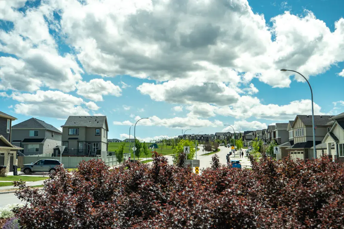 A residential street in Nolan Hill